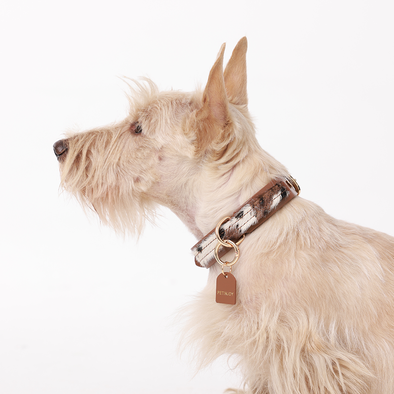 Side view of horsehair patchwork leather pet collar with gold alloy hardware