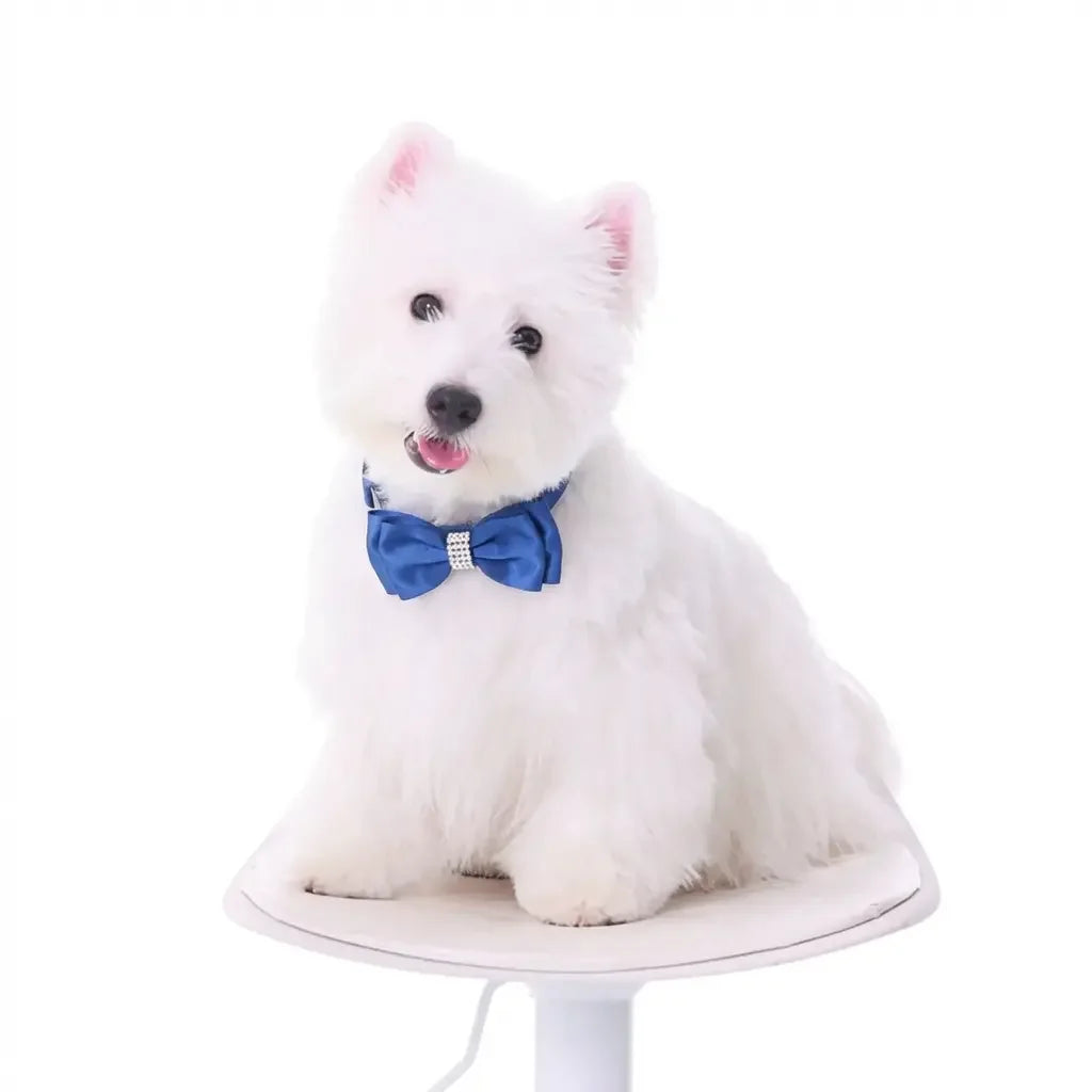 Handcrafted Nappa Leather Bow Pet Collar - Material Details