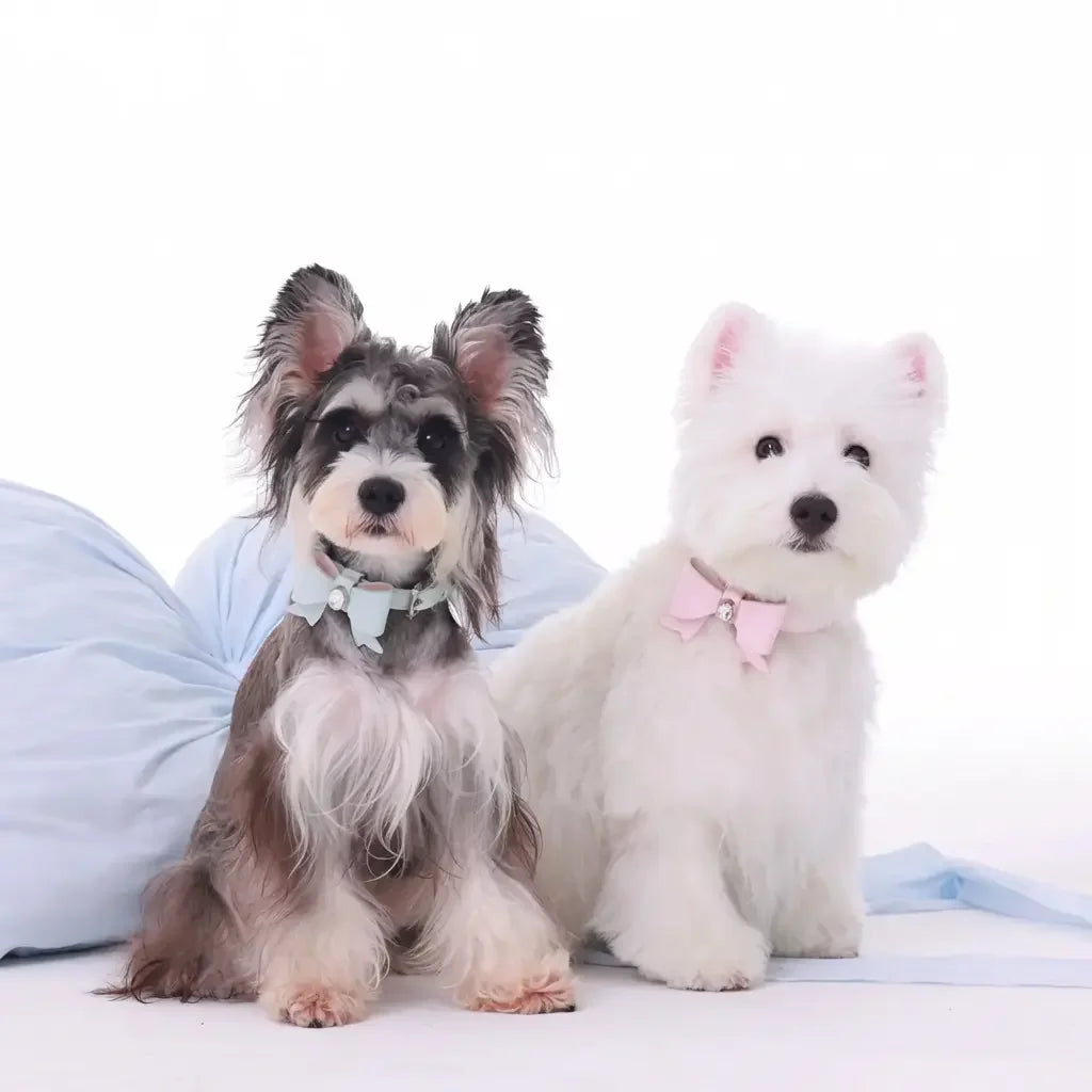 Handcrafted Nappa Leather Bow Pet Collar - Gemstone and Buckle Detail