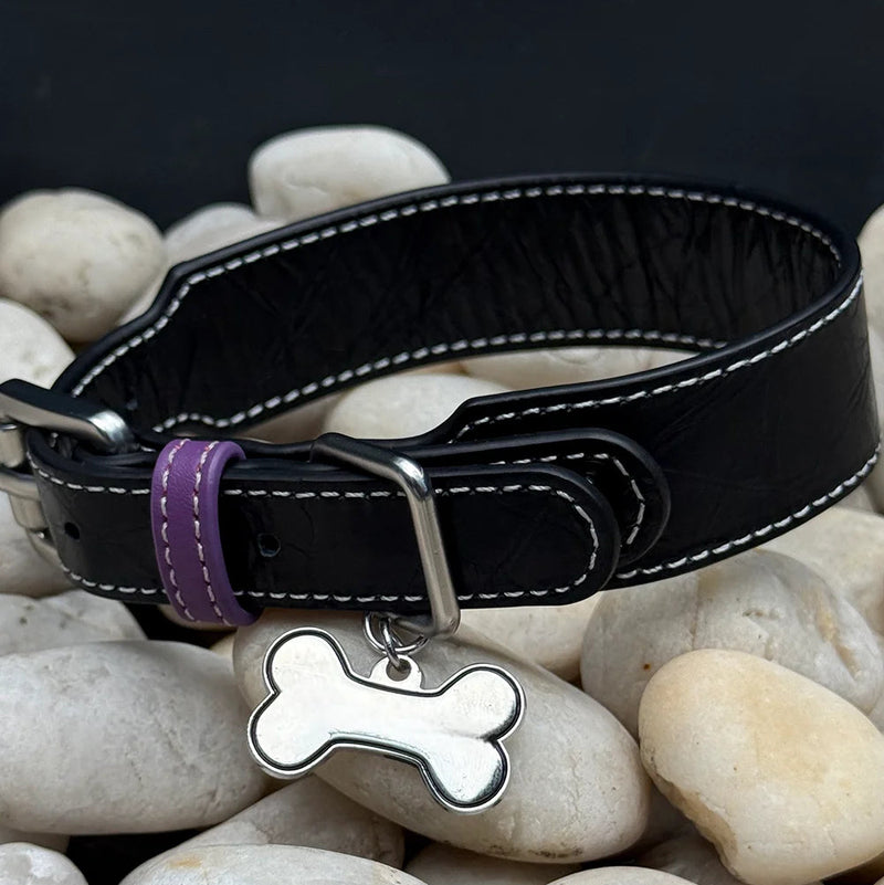 Black leather dog collar with purple accent ring detail - close-up texture