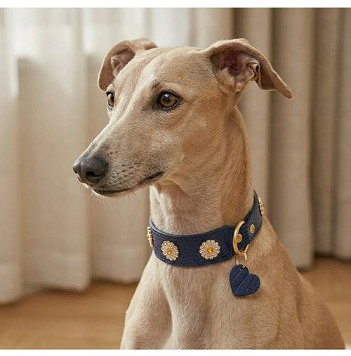 Blue Crocodile Embossed Leather Dog Collar with Crystal Daisy - close-up of collar detail on white dog