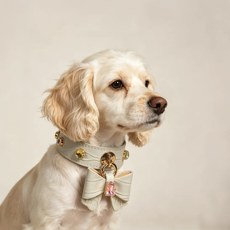 Close-up of crystal bow centerpiece with pink gem and multi-colored studs on white leather collar