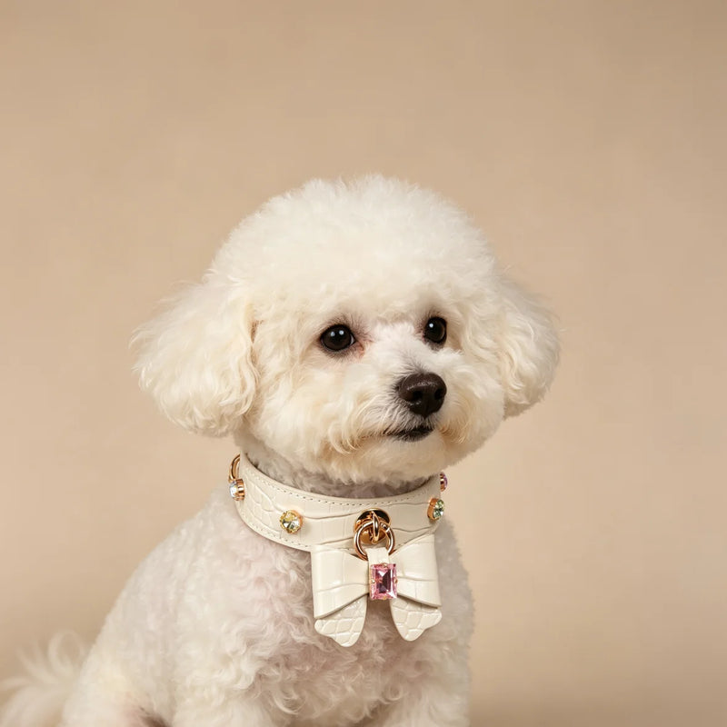 White crocodile-embossed genuine leather dog collar with colorful crystal bow and gold hardware
