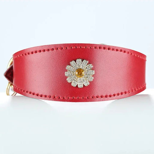 Red double-layer box leather sighthound collar front view with gold buckle