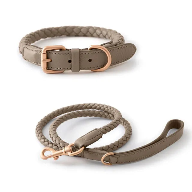 A high-quality matching set of a taupe braided leather dog collar and leash with stylish rose gold metal buckles and hardware against a minimalist white background.