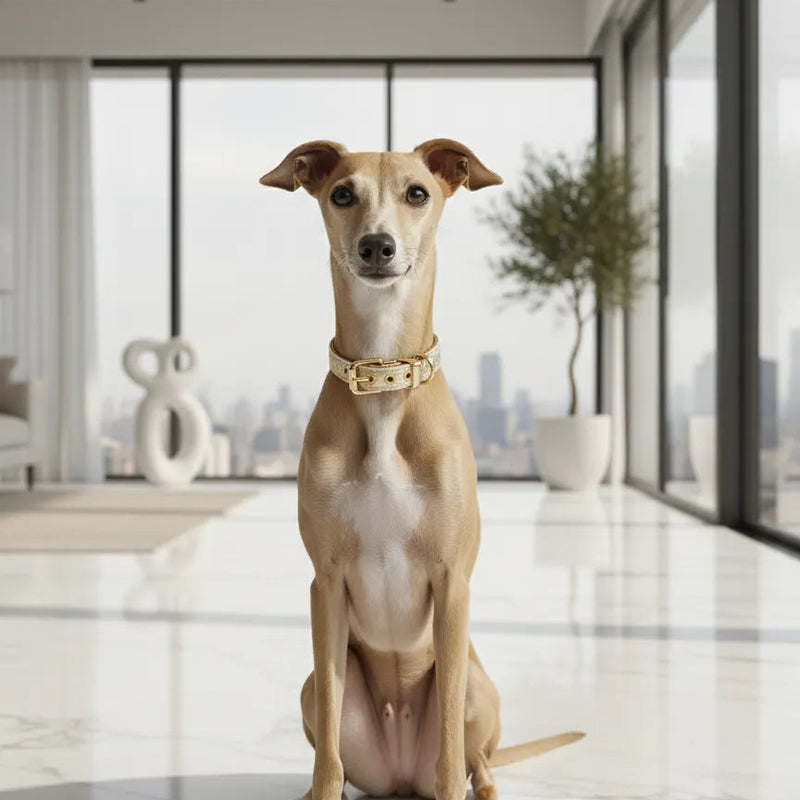 A sleek dog wearing a dusty rose braided leather collar with gold accents, lounging on a plush velvet blanket in a luxurious interior.