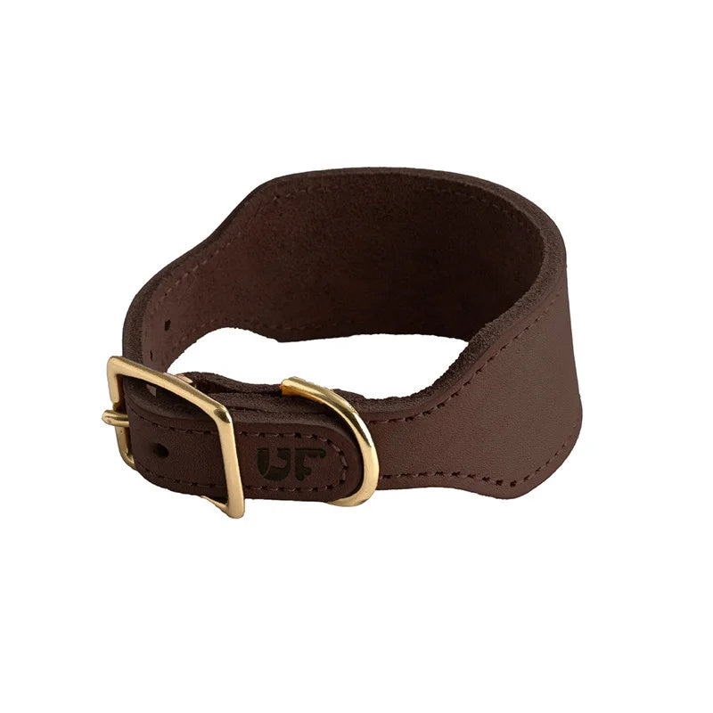 Dark Coffee leather sighthound collar - white background