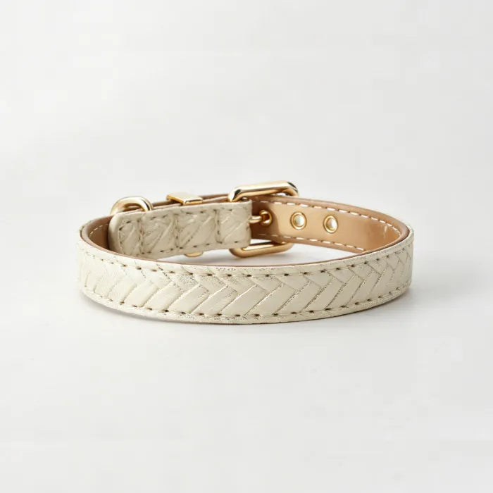 A stylish cream-colored braided leather pet collar featuring a polished gold buckle and hardware set against a plain light grey studio background.