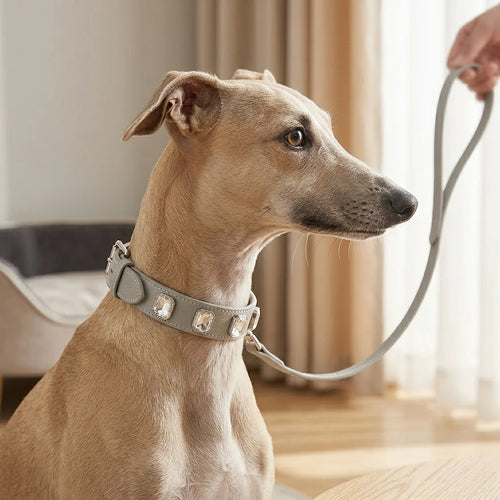 Litchi-Grain White Crystal Dog Collar - greyhound wearing crystal collar with matching leash