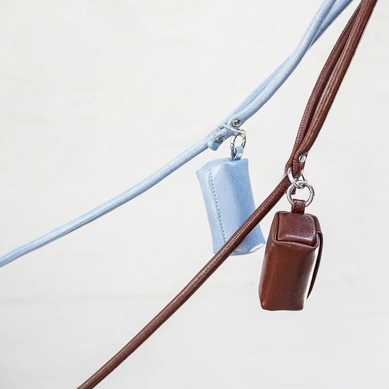 Matching leash and detachable poop bag holder