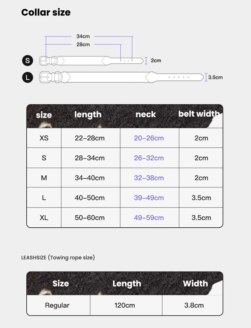 Comprehensive dog collar and leash size guide chart featuring detailed measurement tables for sizes XS through XL and visual diagrams showing collar length and belt width specifications.