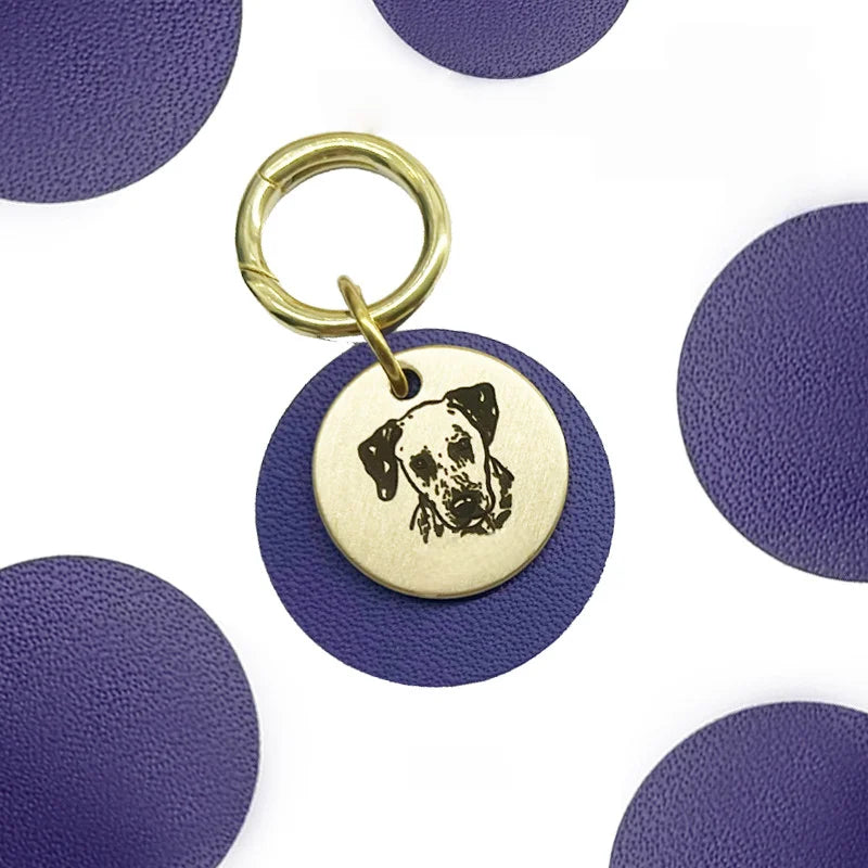 Engraved pet ID tag size comparison showing 2.5cm to 3cm diameter