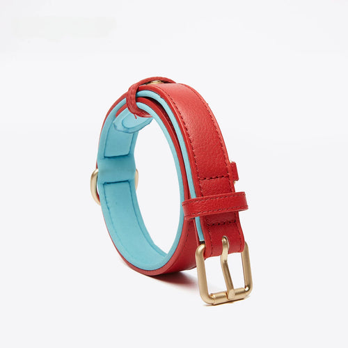 Four-color genuine leather dog collar collection - red brown black grey with contrast lining