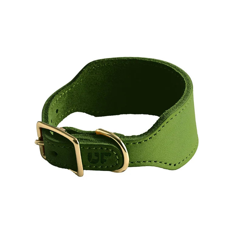 Forest Green leather sighthound collar - white background