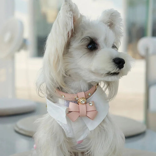 Detail of rhinestone studs and white stitching on leather pet collar