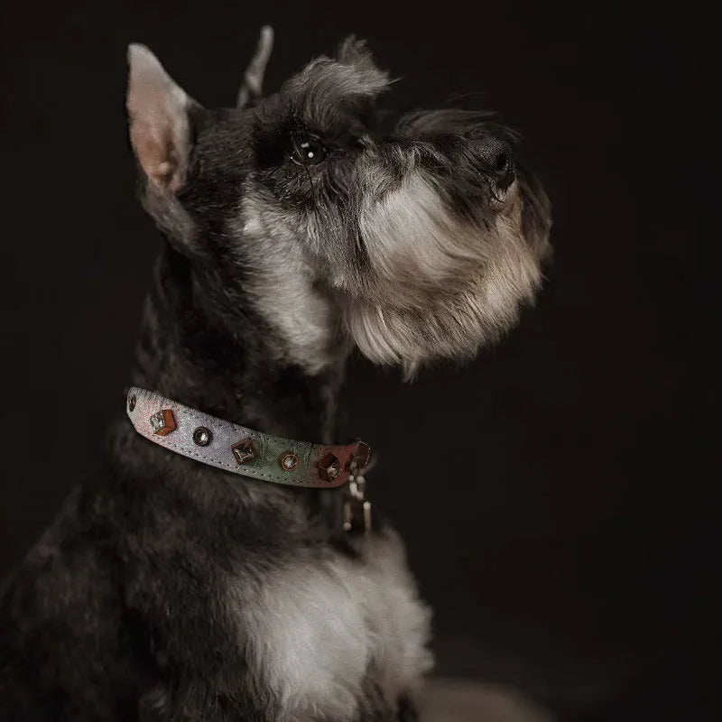 A black and silver Miniature Schnauzer dog wears a luxury ombre leather collar decorated with large square-cut crystals and metallic studs against a dark professional studio background.