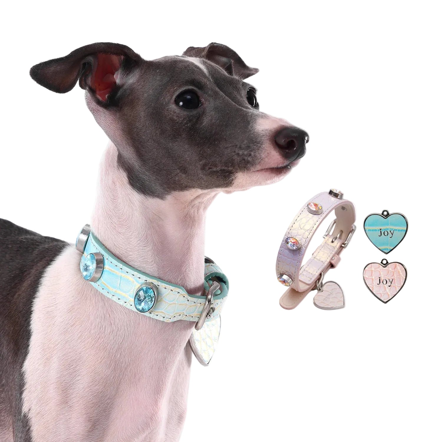 A grey and white Italian Greyhound wearing a PETINJOY luxury iridescent blue leather collar with large blue gemstones, shown next to additional pink collar and heart-shaped charms.