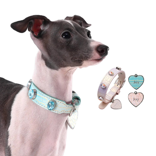 A grey and white Italian Greyhound wearing a PETINJOY luxury iridescent blue leather collar with large blue gemstones, shown next to additional pink collar and heart-shaped charms.