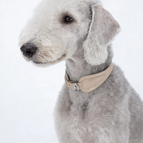 Tan lychee-grain leather collar detail - grain texture and edge finish