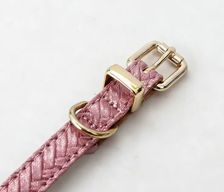 A stylish cream-colored braided leather pet collar featuring a polished gold buckle and hardware set against a plain light grey studio background.