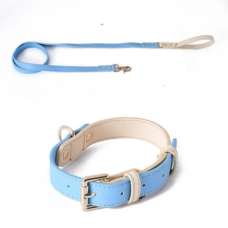 A matching mint blue and beige leather dog collar and leash set with gold-tone metal hardware on a plain white background.