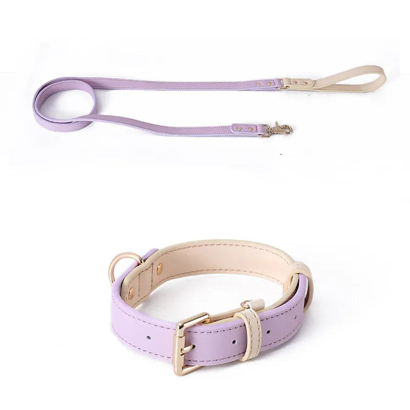 A matching mint purple and beige leather dog collar and leash set with gold-tone metal hardware on a plain white background.