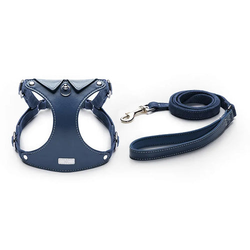 A sophisticated navy blue leather dog harness and matching leash set featuring white contrast stitching and polished silver metal hardware, presented on a plain white background.