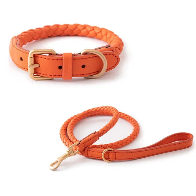 A matching set featuring a bright orange braided leather dog collar with a gold-finished buckle and a long braided leash with a sturdy metal clip, all shown on a white background.