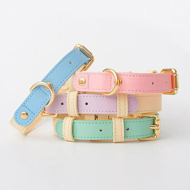 A collection of four adjustable leather dog collars in pastel shades of light blue, pink, lavender, and mint green, featuring polished gold hardware and set against a minimalist white background.