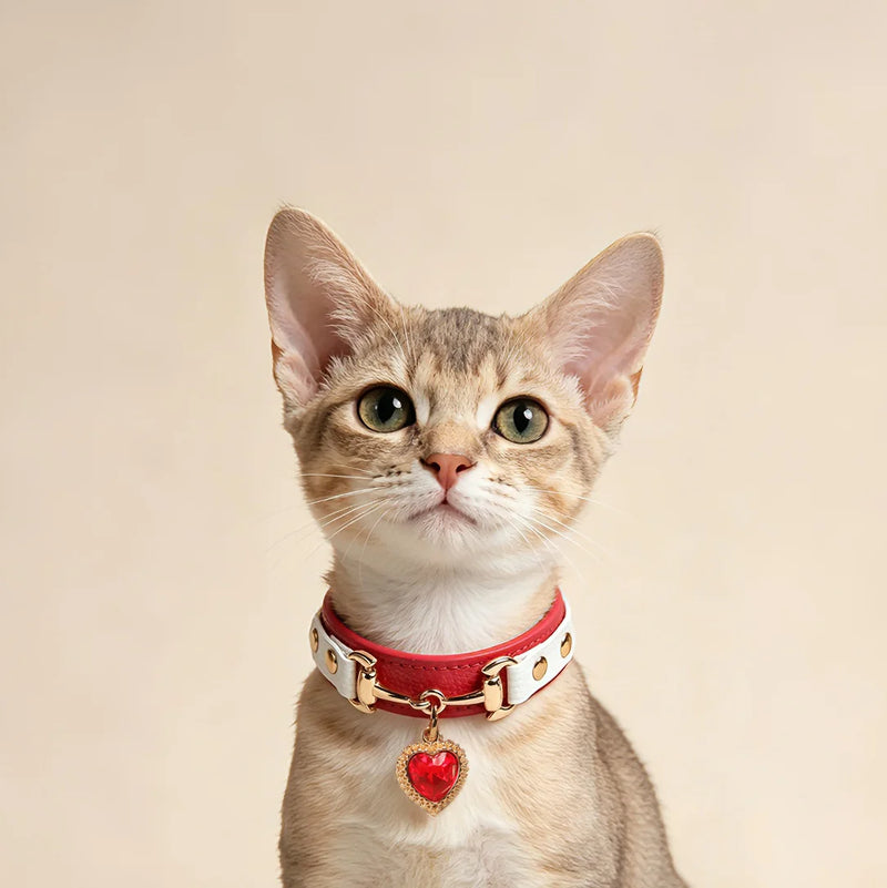 PawAura Heart Crystal leather collar and matching leash set product display