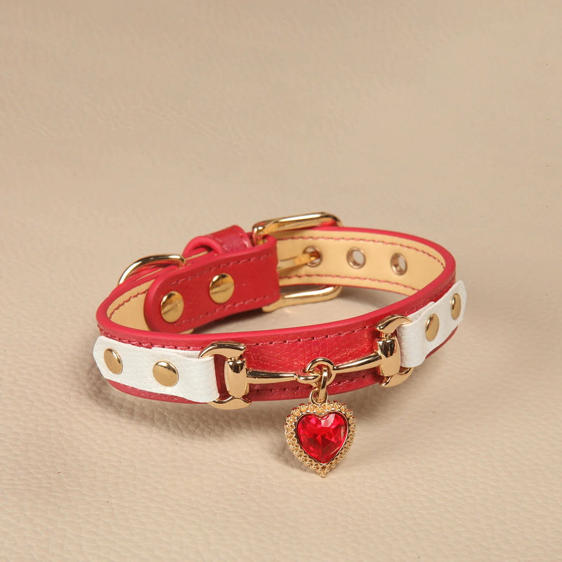Small dog wearing PawAura pink crystal heart collar with gold hardware