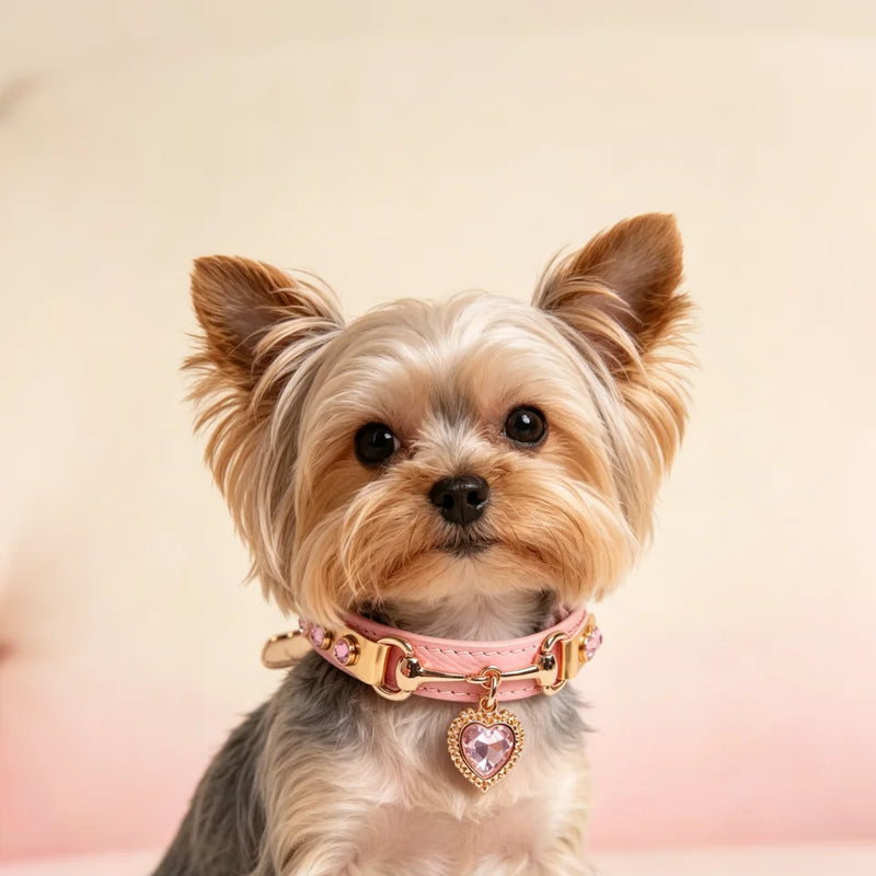 Yorkshire Terrier wearing PawAura Heart Crystal pink leather collar with heart pendant
