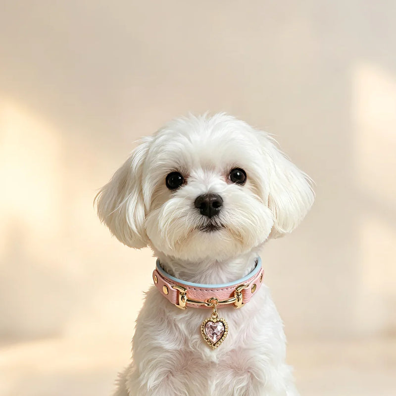 PawAura Heart Crystal Genuine Leather Pet Collar - Pink close-up with gold studs and chain detail