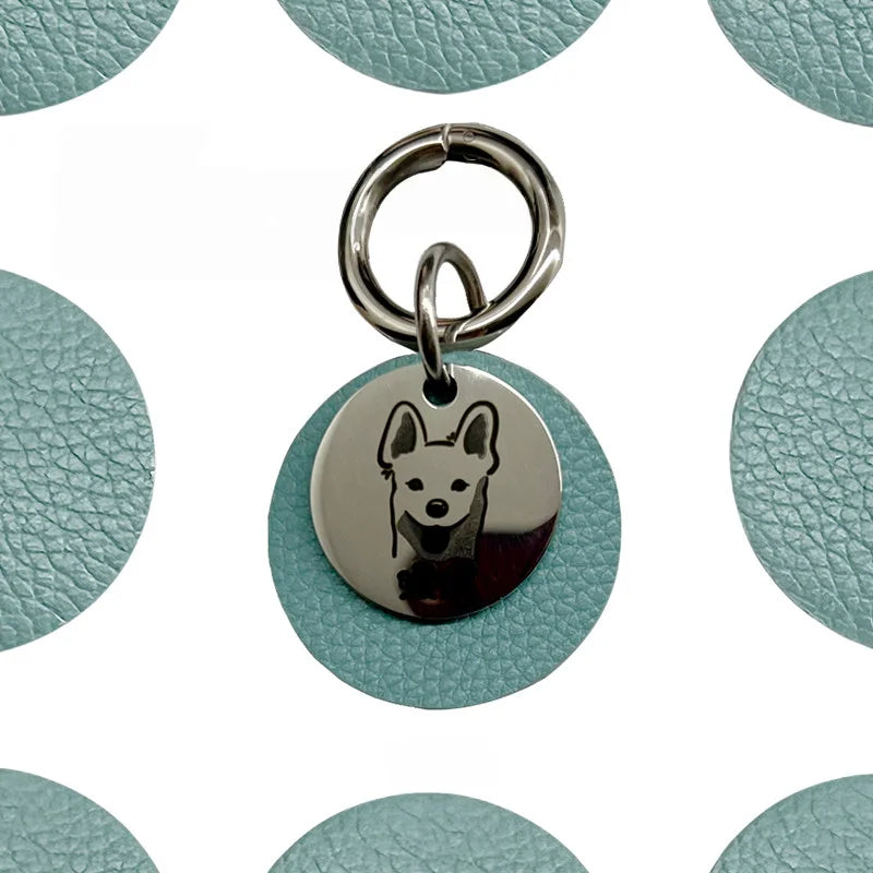Set of multiple pet collar ID tag designs in various shapes