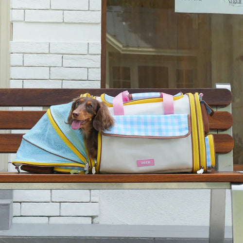 Small dog sitting comfortably inside the pet travel bag with ventilation