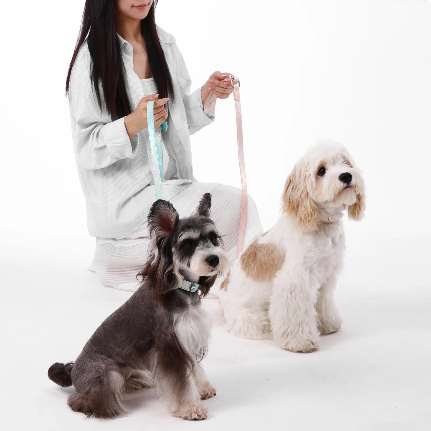 A woman holding two small dogs on shimmering, iridescent leather leashes with matching collars adorned with gemstone accents.