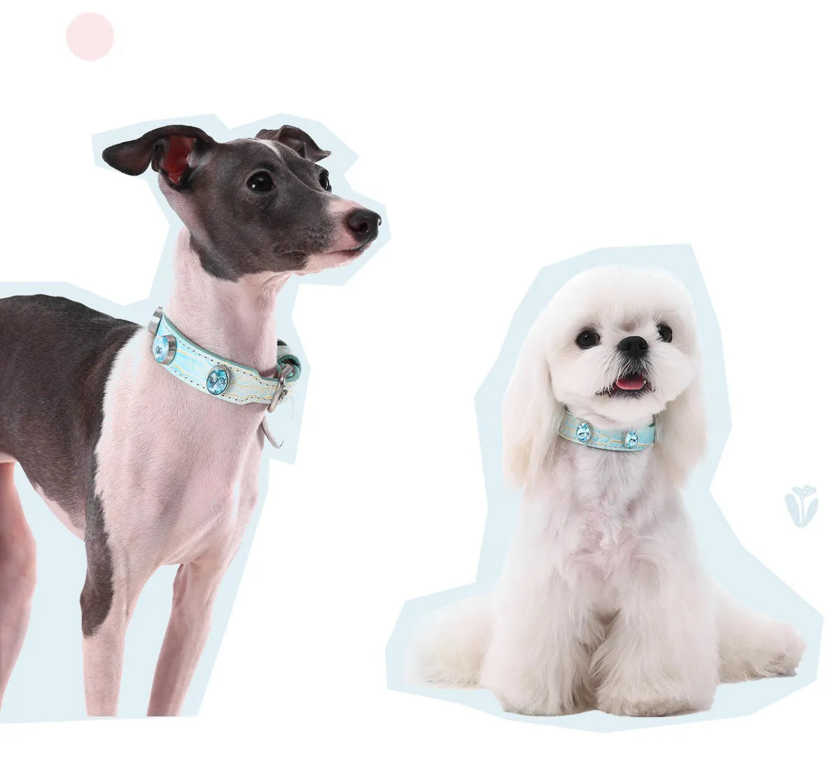 Luxury Iridescent Leather Dog Collar & Leash Set with Gemstones