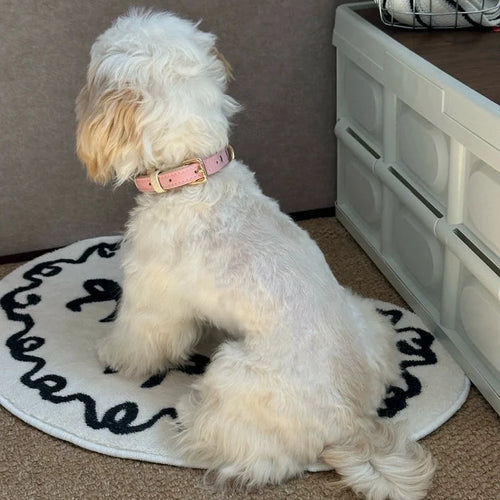 Pastel Paradise dog collar - fluffy white dog from behind wearing pink collar