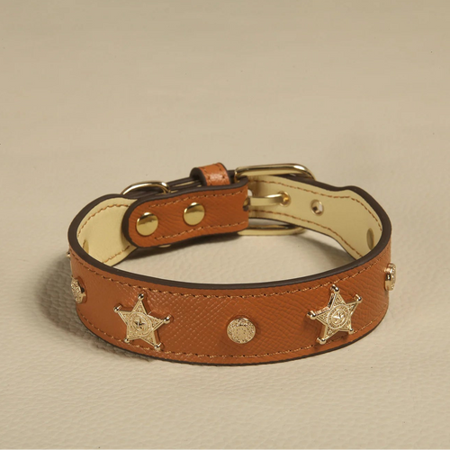 Close-up of pink leather collar with gold star charm and rhinestone details