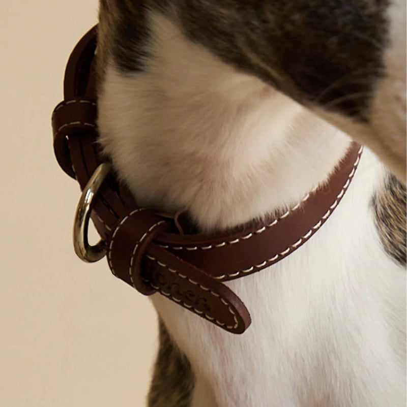 Genuine leather collar with retro plaid bandana on dog - close-up wearing view