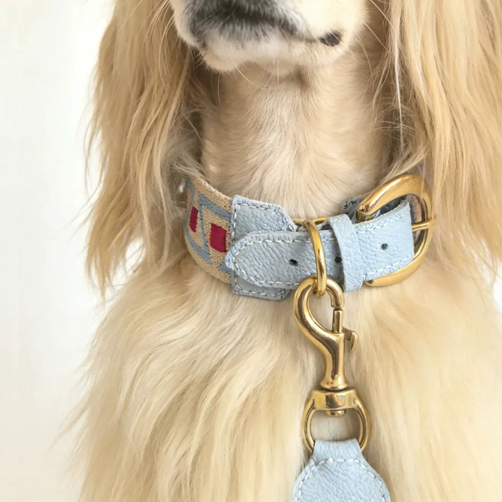 A close-up view of a long-haired, blonde dog wearing a premium light blue litchi grain leather dog collar with a geometric pattern webbing and a matching leash attached via a gold brass snap hook.