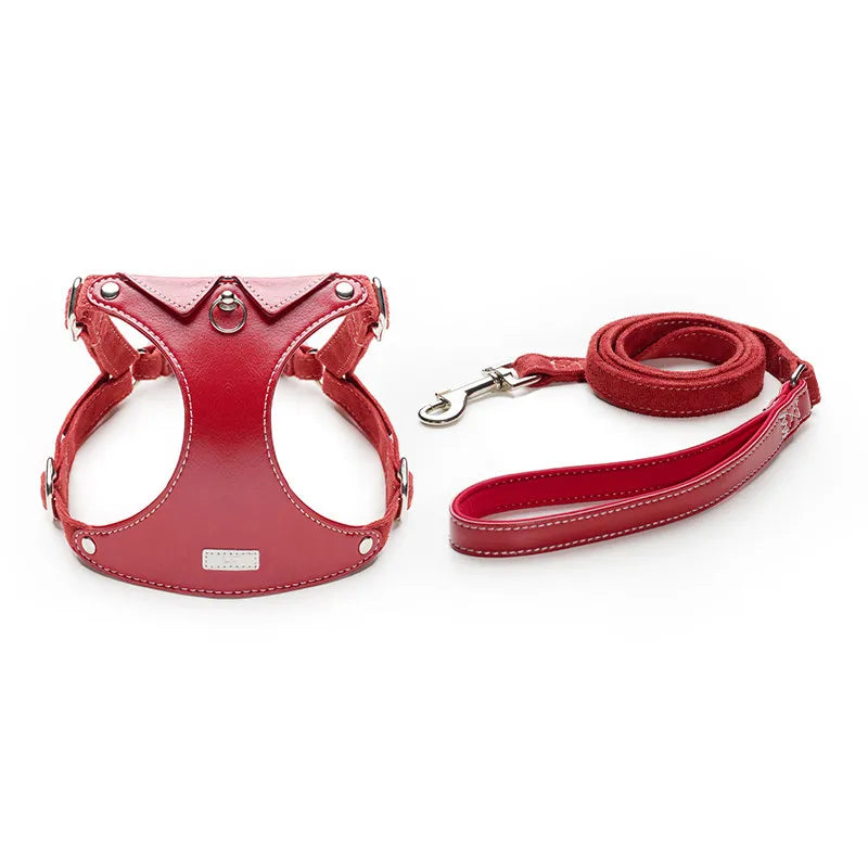 A premium set featuring a stylish red leather vest-style dog harness with white contrast stitching and a matching rolled leather leash, displayed against a plain white background.