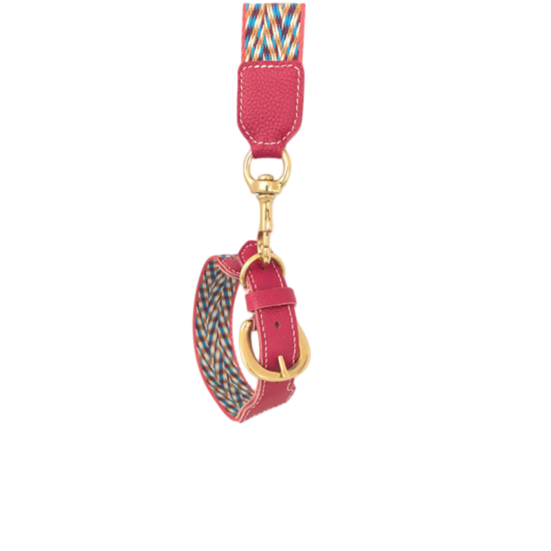Premium Woven Artisan Dog Collar with Genuine Leather Accents
