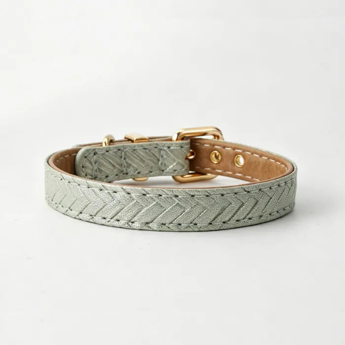 A sage green faux leather pet collar with a shimmering herringbone texture and polished gold-toned buckle resting on a minimalist white surface.
