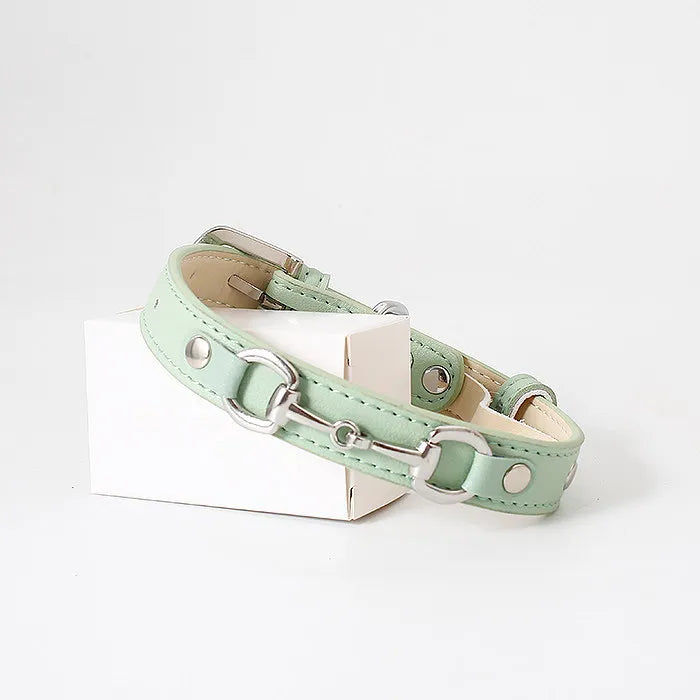 A stylish sage green leather dog collar featuring polished silver horse-bit hardware and matching studs, elegantly displayed on a small white box against a clean white studio background.