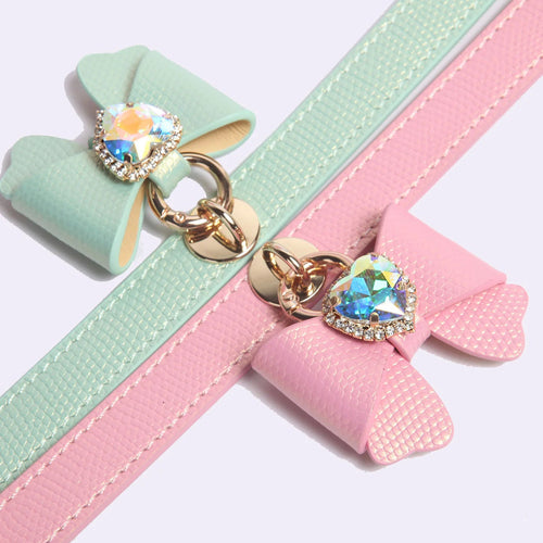 Small dog wearing mint green butterfly bow leather collar with rhinestone pendant