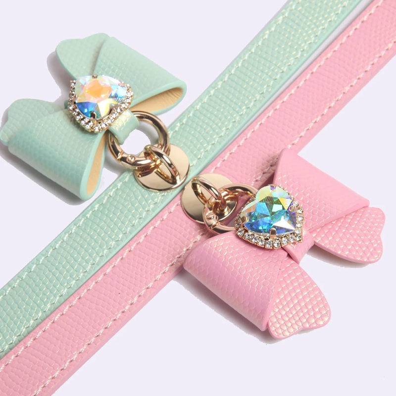 Small dog wearing mint green butterfly bow leather collar with rhinestone pendant