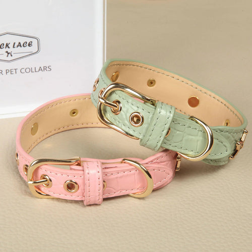 Small dog wearing pink star rhinestone leather collar outdoors