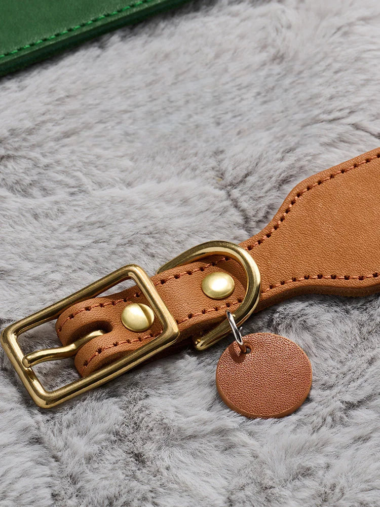 Tan leather collar detail with brass buckle and D-ring