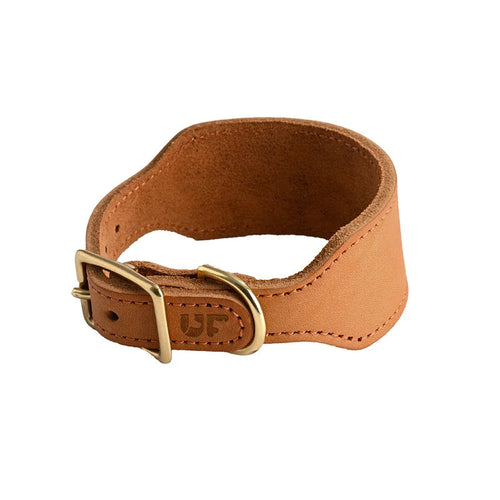 Tan genuine leather sighthound collar - front view